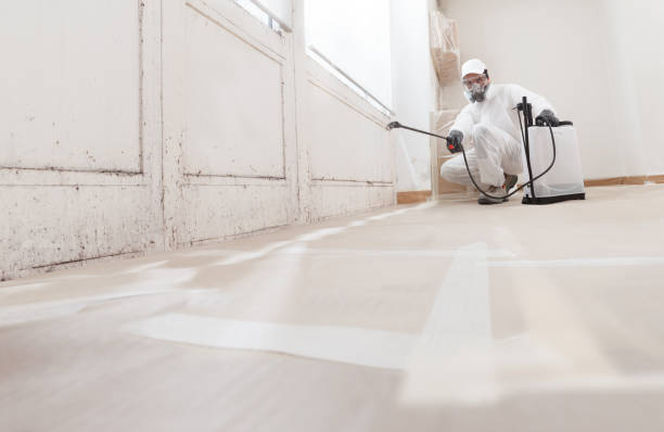 24/7 Emergency Mold Cleanup experts in Chester, NJ